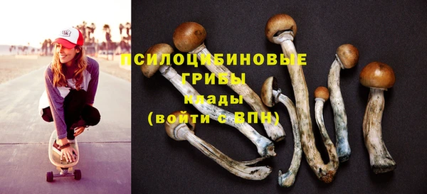 каннабис Гусев